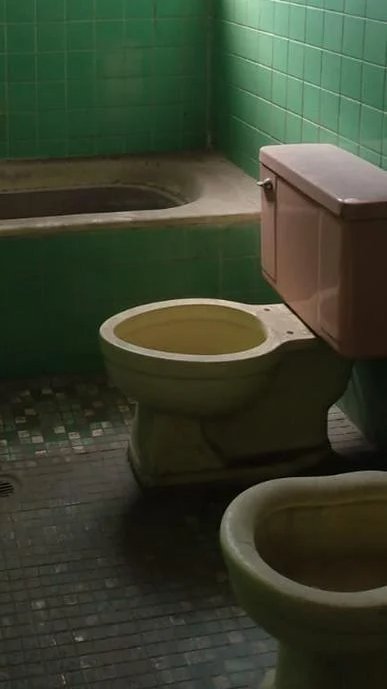 Esa Manta tweet media