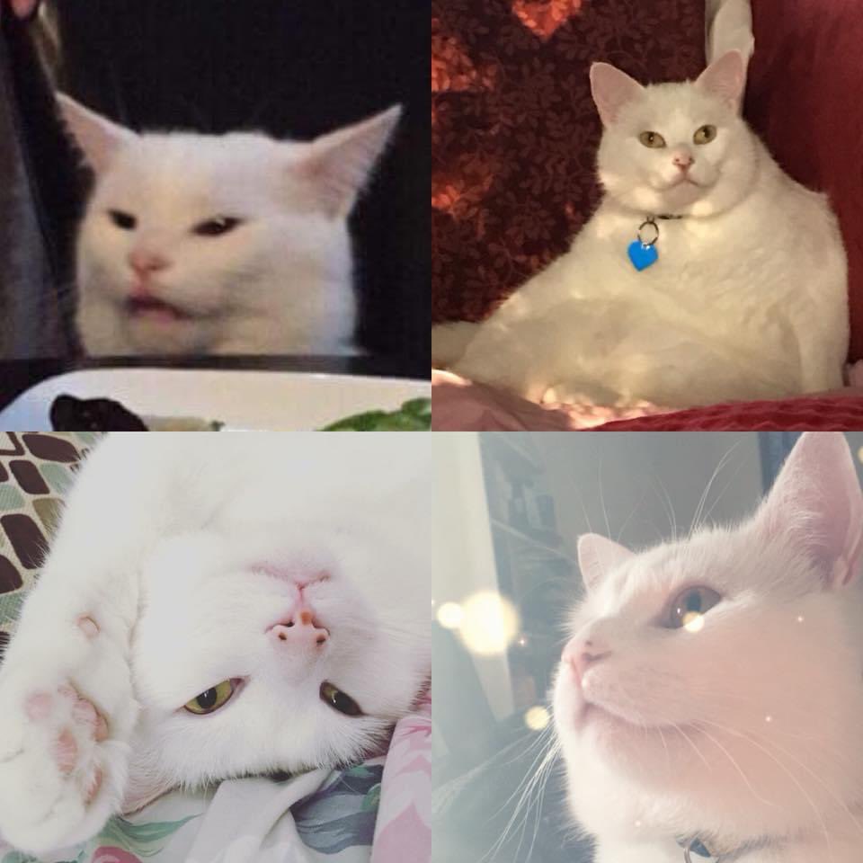 Choose your fighter