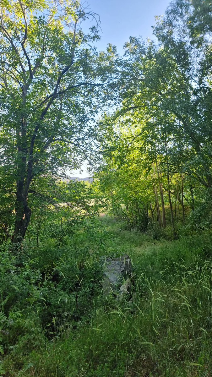 Just another Thursday!