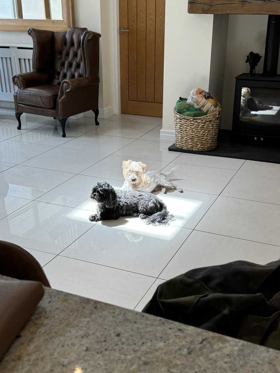 Even Ruggy is making the most of the first hot day! 😂♥️