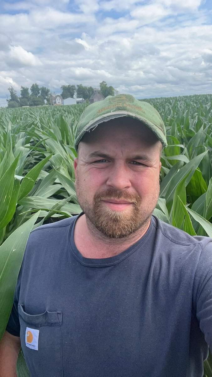 Chad_Spellman's tweet image. Central Iowa corn is taking off with the recent inch of rain. Shoulder high now #grow24 #kern #corn
