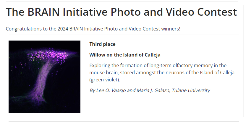 Lee O Vaasjo, PhD tweet media