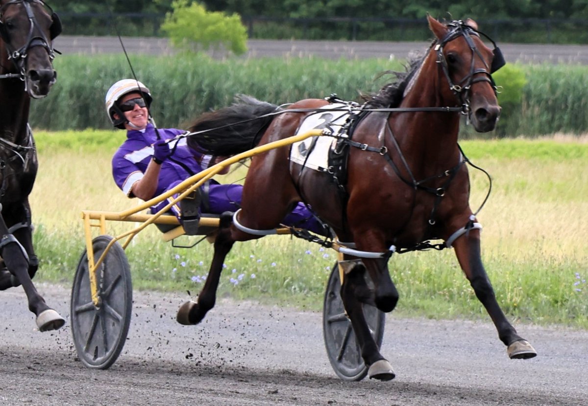Miller pleased with French Riviera after Gaitway qualifiers

Read now bit.ly/3RCs799
<a href="/HarnessKenW/">Ken Weingartner</a> 
#harnessracing