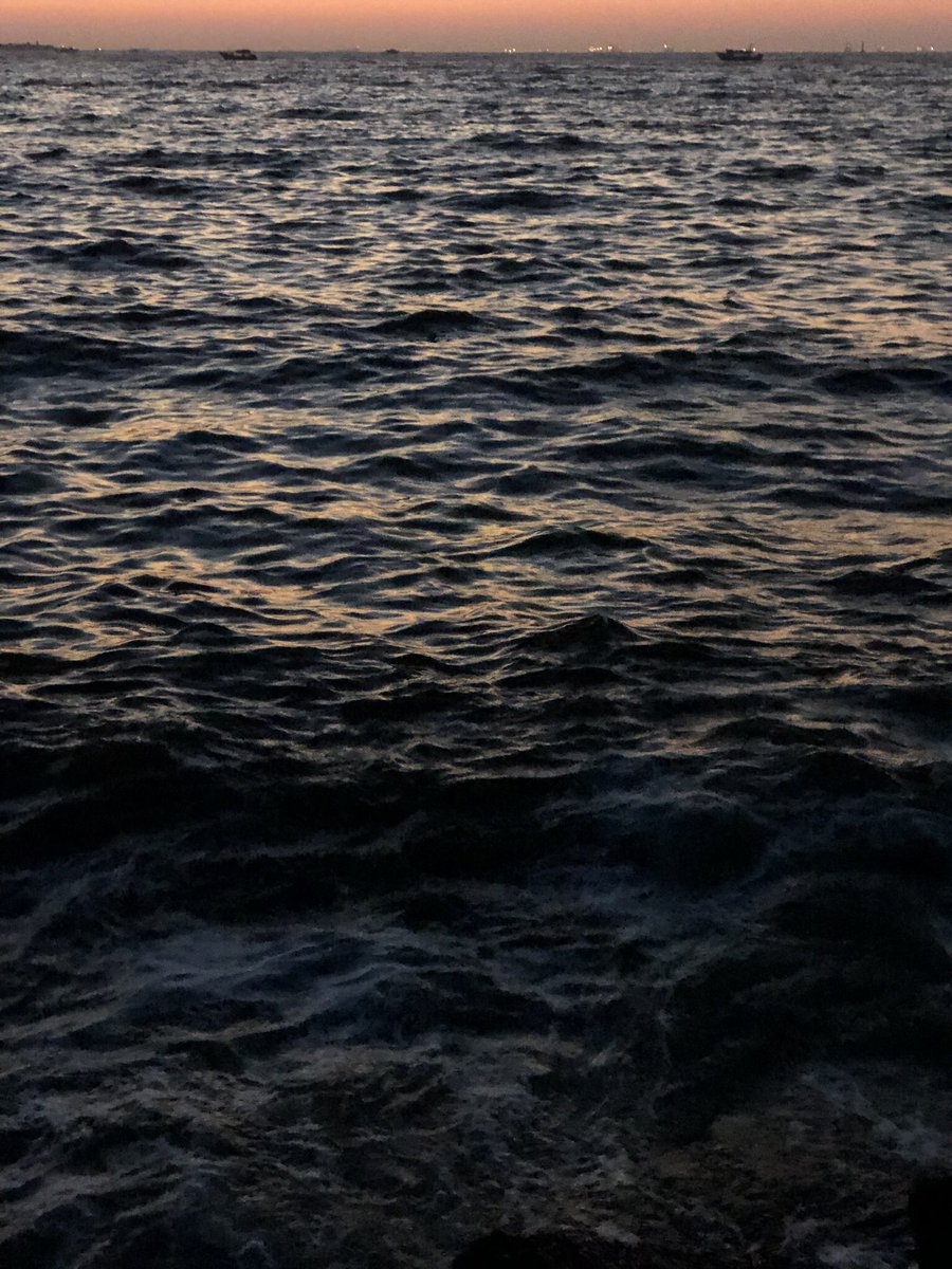 Farah Haider (@farahhaider4232) on Twitter photo 