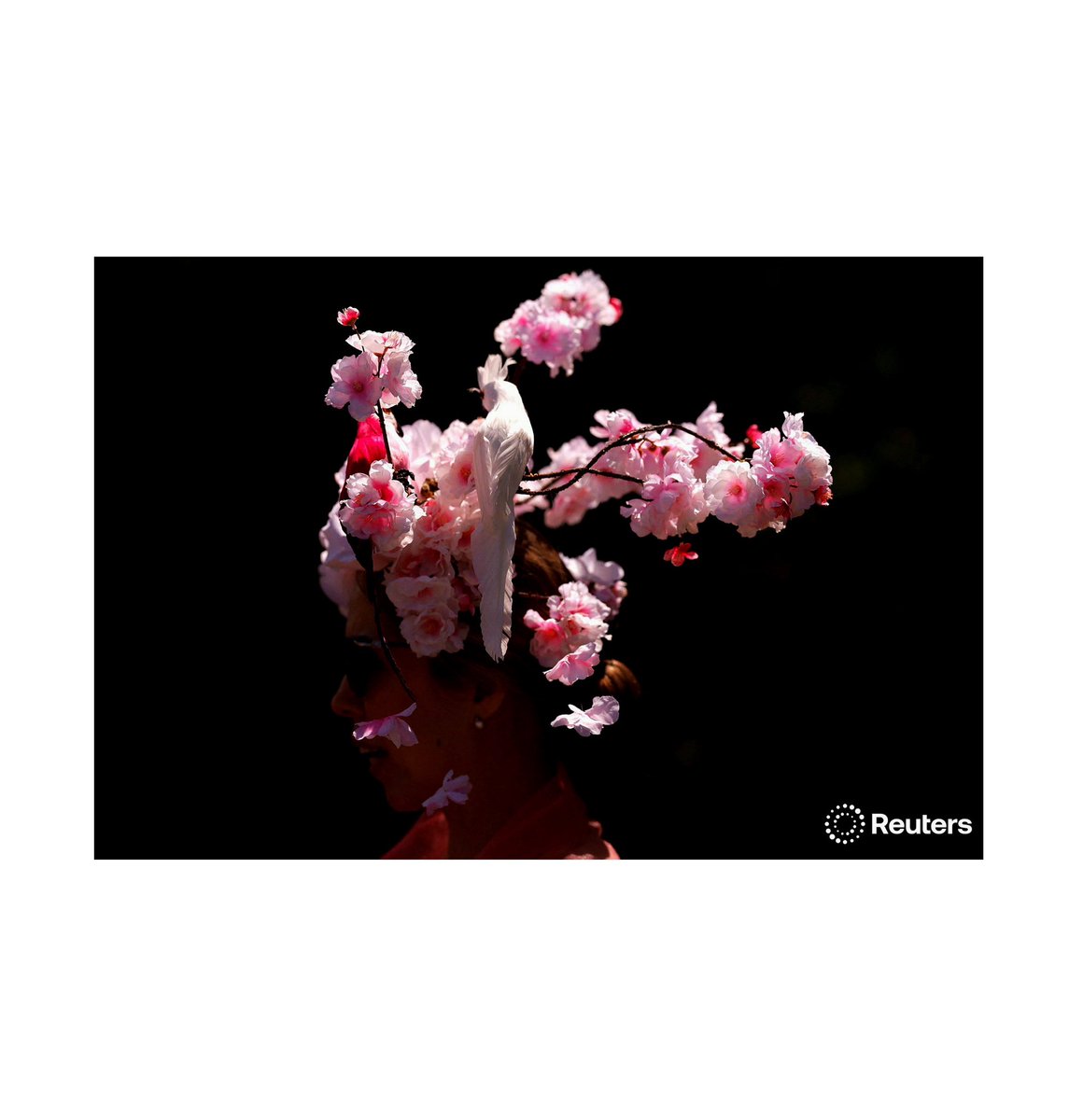 Andy Couldridge tweet media