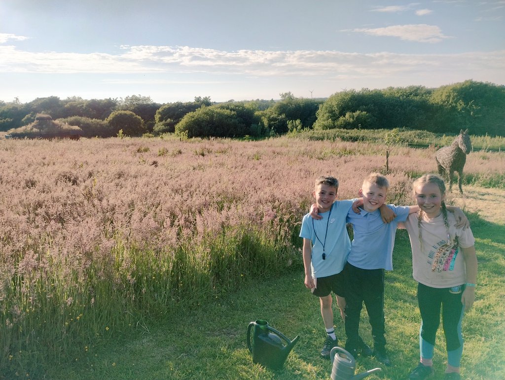 Year four are having a fantastic time camping on the school field.