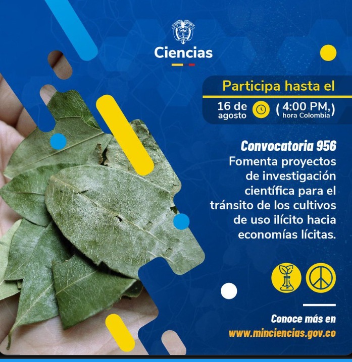 minciencias.gov.co/convocatorias/…
<a href="/MincienciasCo/">MinCiencias Colombia</a>