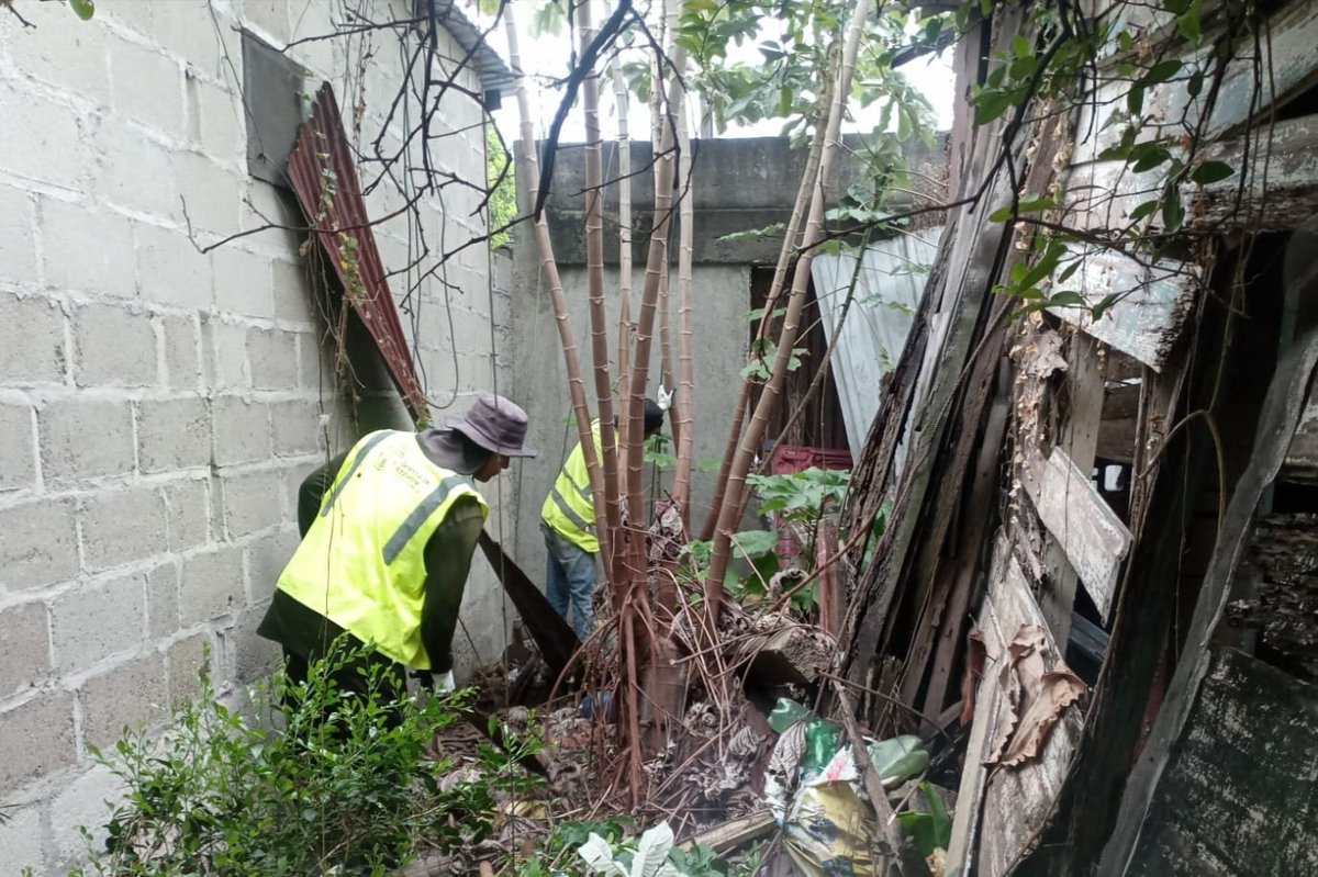 GerAmbienteSPS's tweet photo. Con el propósito de eliminar los criaderos de zancudos y combatir el Dengue, nuestro equipo de la Gerencia de Ambiente de la Municipalidad de San Pedro Sula, que dirige el alcalde Roberto Contreras, lleva a cabo la limpieza de solares baldíos en barrio Cabañas.

#SanPedroSula https://t.co/qwBpFjmWRY