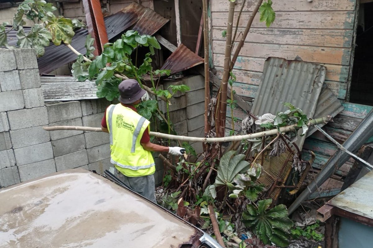 GerAmbienteSPS's tweet photo. Con el propósito de eliminar los criaderos de zancudos y combatir el Dengue, nuestro equipo de la Gerencia de Ambiente de la Municipalidad de San Pedro Sula, que dirige el alcalde Roberto Contreras, lleva a cabo la limpieza de solares baldíos en barrio Cabañas.

#SanPedroSula https://t.co/qwBpFjmWRY