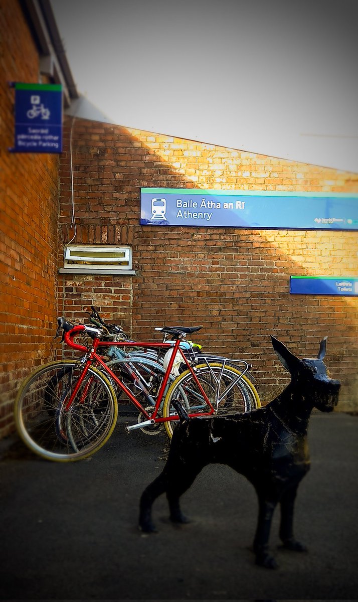 A full cycle rack at Athenry Train Station 💚...plenty of space for another <a href="/IrishRail/">Iarnród Éireann</a>! 🙂
#BikeAndRail #GalwaybyBike
