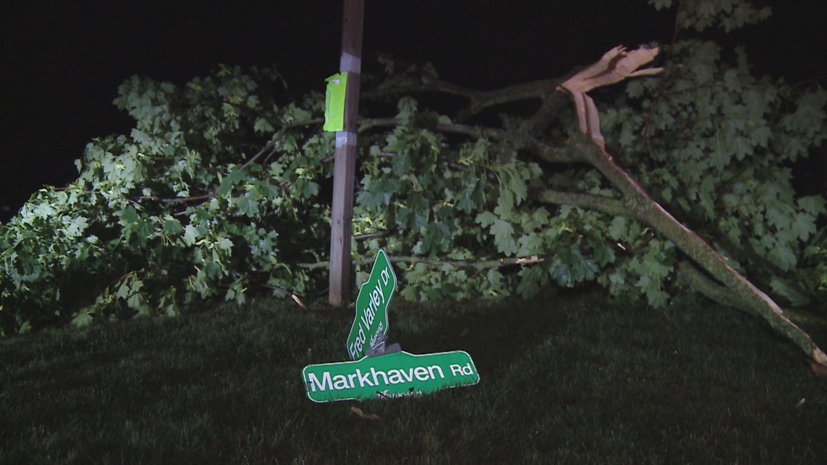 Media371's tweet image. Last night's thunderstorm knocked down several large trees, brought down power lines and damaged vehicles in #Unionville. Some residents still without power.  #Markham #onstorm