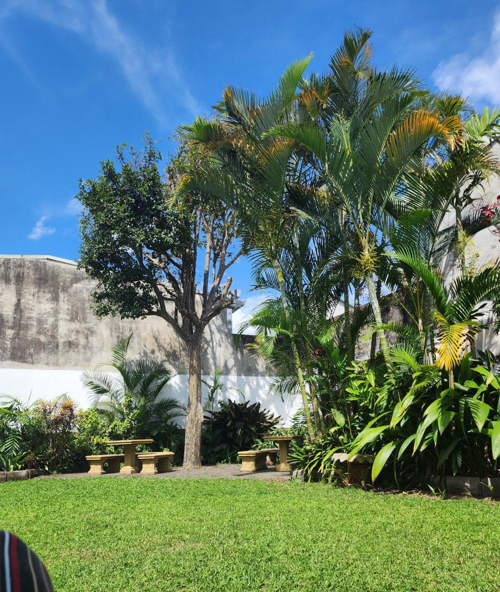 Calee's first week as an animal rescue volunteer in Costa Rica! 
"It's been beyond amazing! Can't wait for the next 3 weeks at my animal project in Turrúcarres!"

Learn more about this heartwarming volunteer project in Costa Rica 🌴 hubs.la/Q02CG02S0