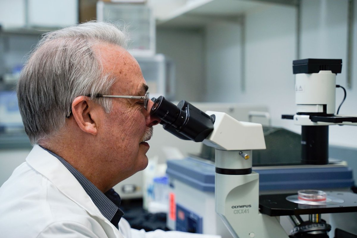 🔬💫 Hera Biotech's groundbreaking method skips surgery, instead analyzing endometrial tissue for gene expression changes linked to the condition. Visit our website to learn more: herabiotech.com
#EndometriosisDiagnosis #FromSurgicalToSimple