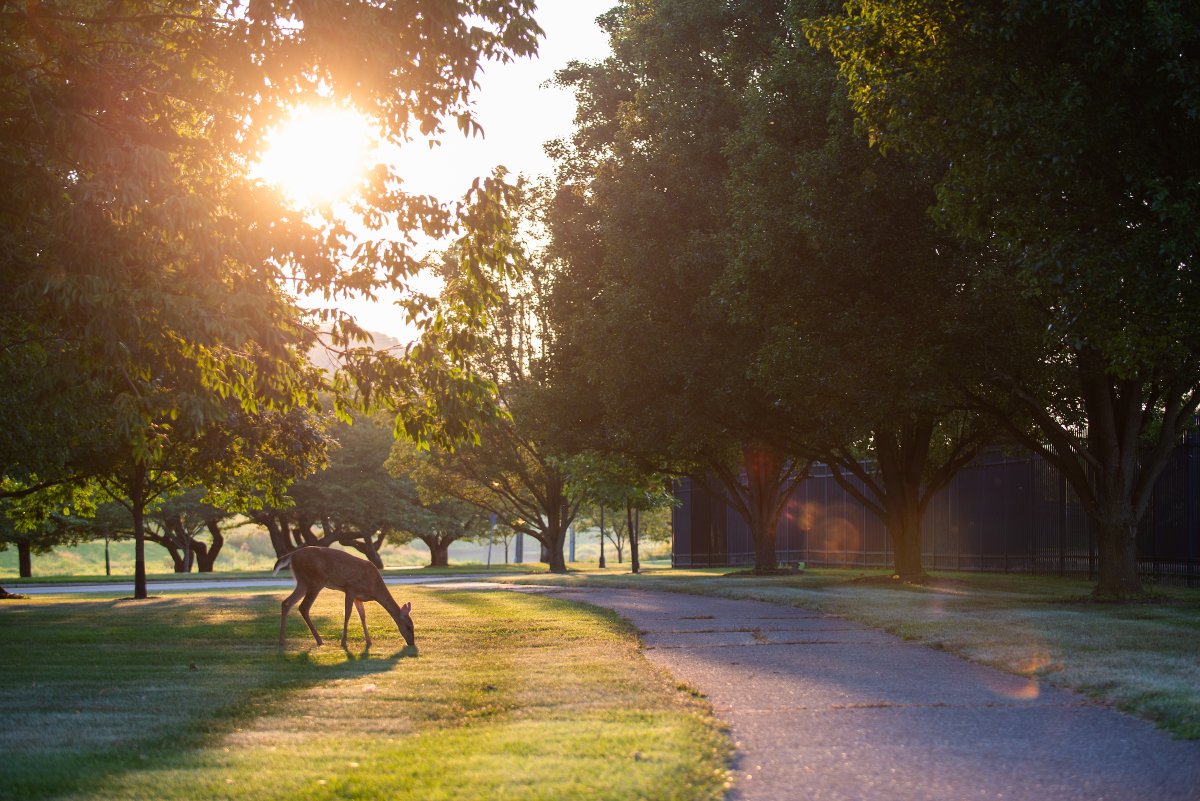Voinovich School of Leadership and Public Service tweet media