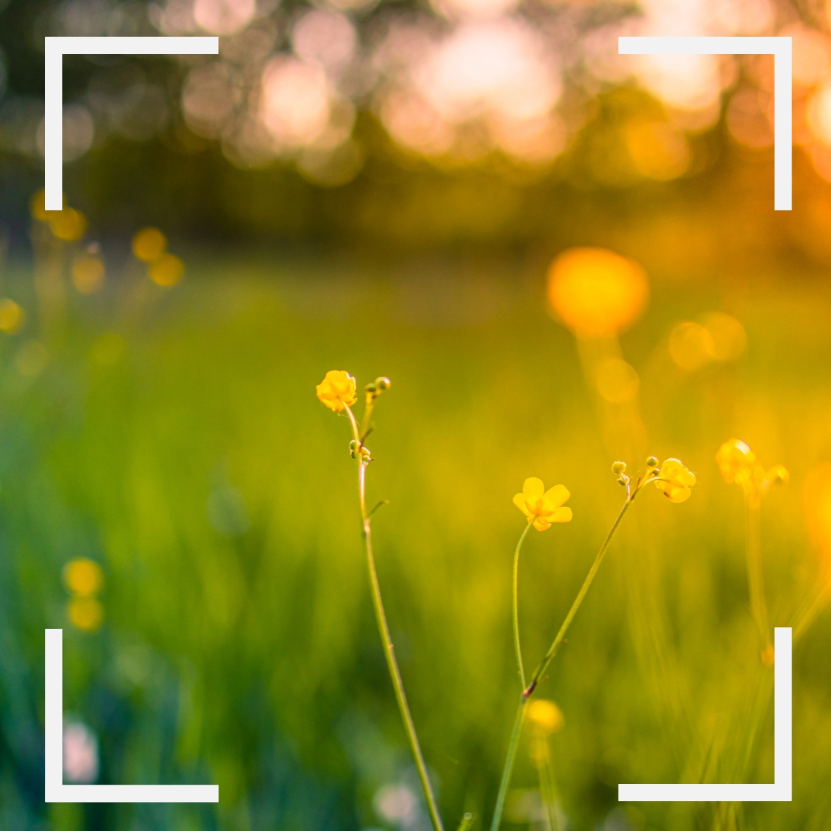 EasternSolar88's tweet photo. “Let the energy of the summer solstice help you to balance, release, recharge.”
—Unknown https://t.co/wrh3aAP4lm