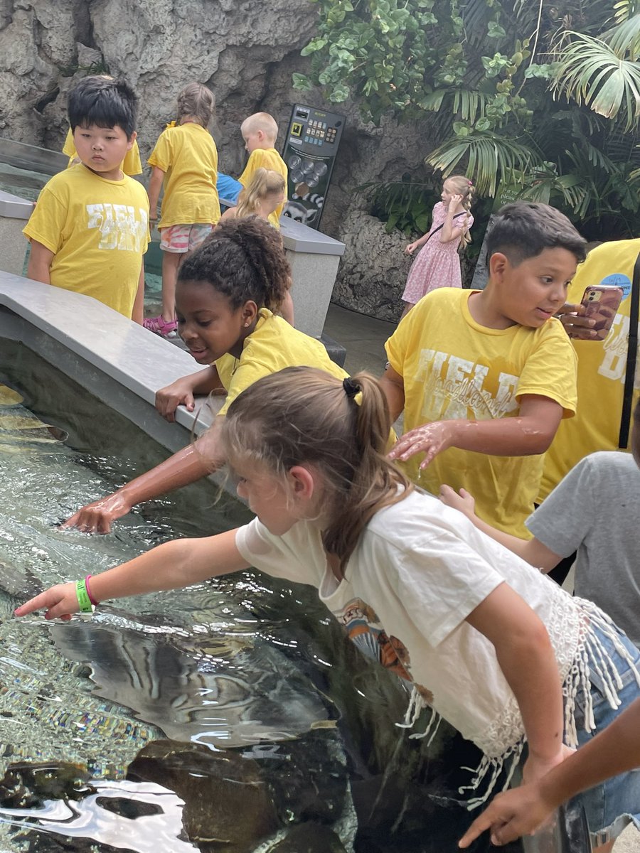 Glenwood Elementary (@glenwoodcubs) on Twitter photo Our summer learning camp field trip to <a href="/TNAquarium/">Tennessee Aquarium 🐢</a> was wonderful! We couldn’t have given our students this learning opportunity without the generous support of <a href="/orpsef/">ORPS Ed. Foundation</a>
<a href="/WoodlandHawks/">Woodland Elementary</a> <a href="/WBESbears/">Willow Brook Elementary School</a> <a href="/LindenLion/">Linden Elementary</a> Our summer learning camp field trip to <a href="/TNAquarium/">Tennessee Aquarium 🐢</a> was wonderful! We couldn’t have given our students this learning opportunity without the generous support of <a href="/orpsef/">ORPS Ed. Foundation</a>
<a href="/WoodlandHawks/">Woodland Elementary</a> <a href="/WBESbears/">Willow Brook Elementary School</a> <a href="/LindenLion/">Linden Elementary</a>