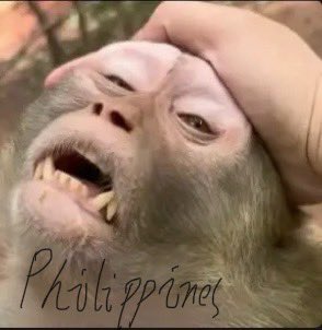 Thomask_Legends's tweet photo. @thinking_panda 特种兵？我瞅瞅🤨 https://t.co/v6Xy0rKPia