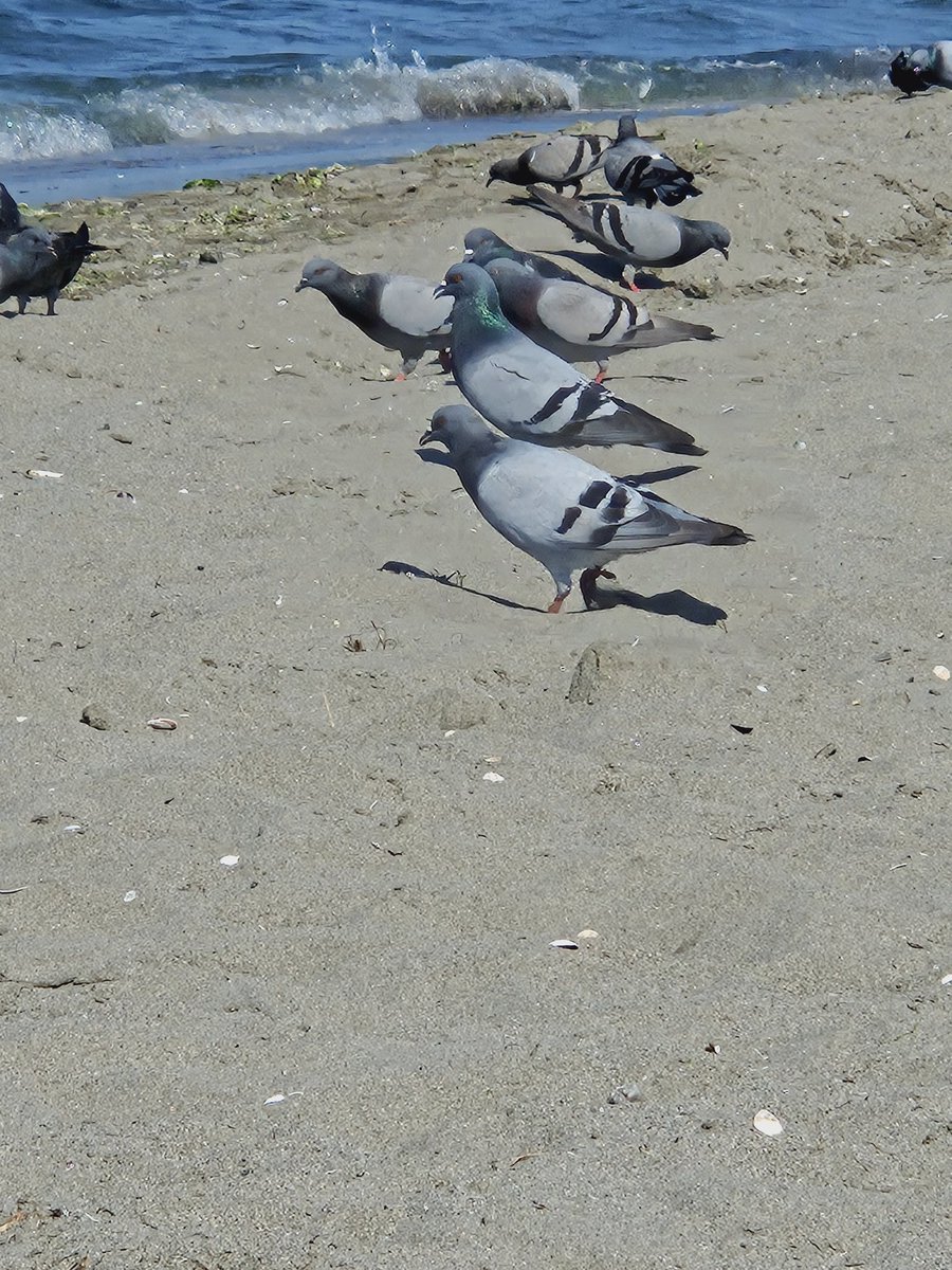 Bir tatil daha bitiyor..