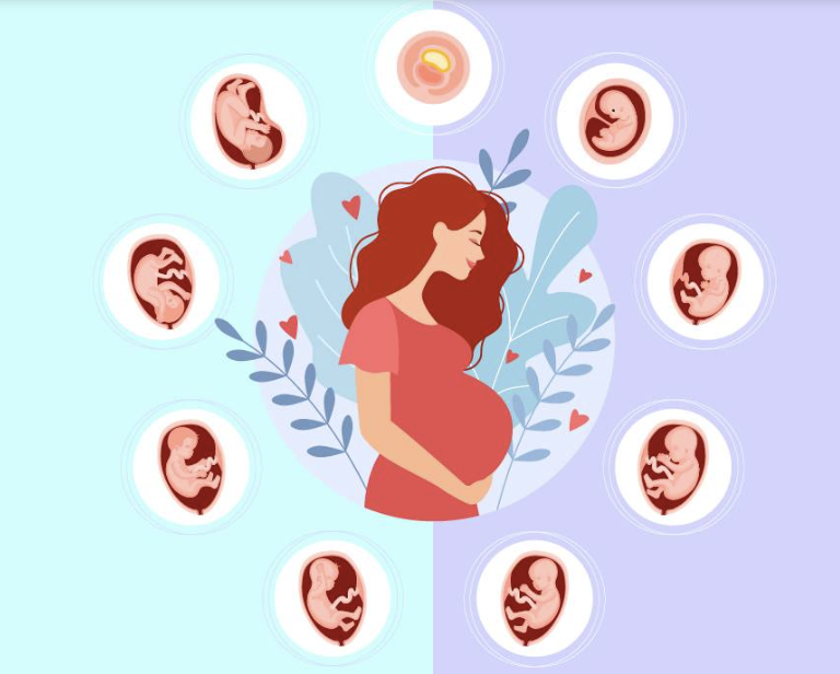 CDeBonrostro's tweet photo. ⚠️ ¿SABÍAS Q EL EMBARAZO Y EL PARTO SON CAPACES DE MODIFICAR LA "EDAD BIOLÓGICA" DE UNA MUJER?

🔬 Esto es lo q concluye una reciente investigación publicada en una prestigiosa revista científica

Veamos cómo LA MATERNIDAD ES CAPAZ DE TRANSFORMAR POR COMPLETO EL ORGANISMO DE UNA MADRE🤰🏽

Dentro #hilo 🔥🔥🔥