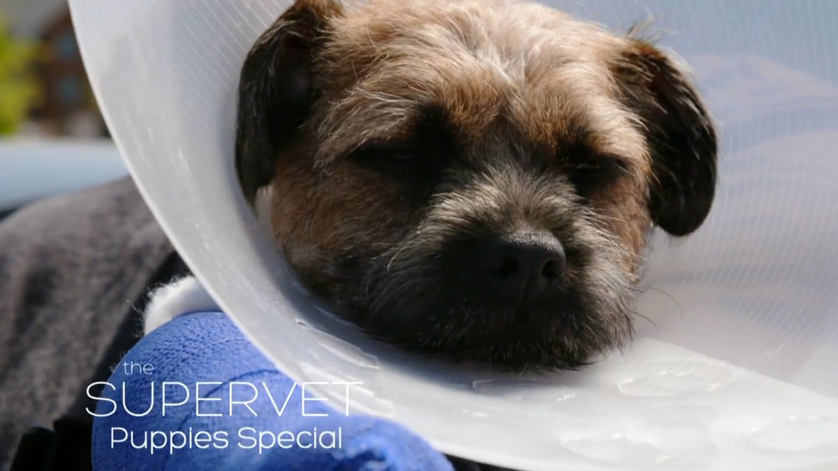 Fitzpatrick Referrals tweet media