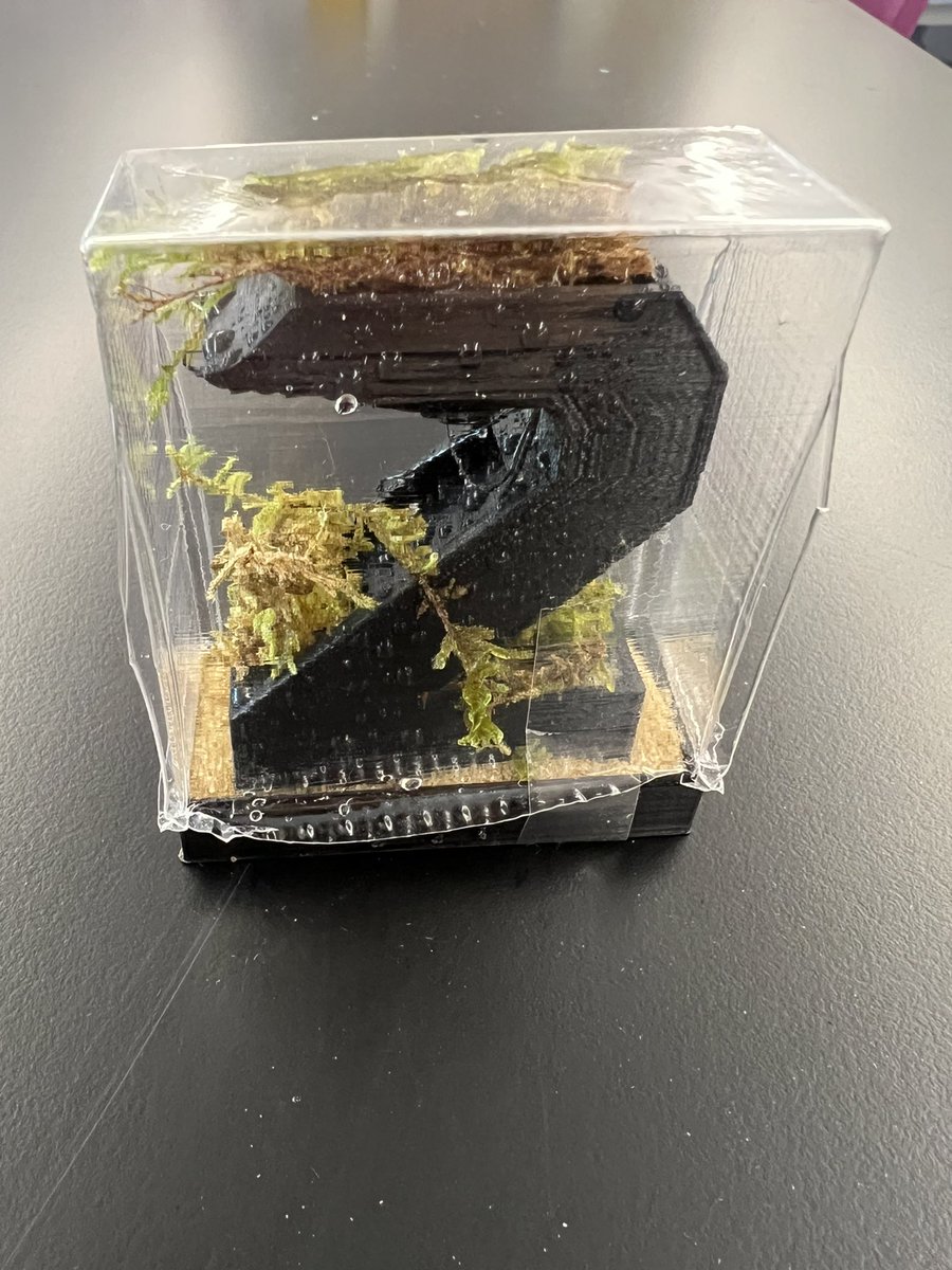 Mrs. Strauch tweet media