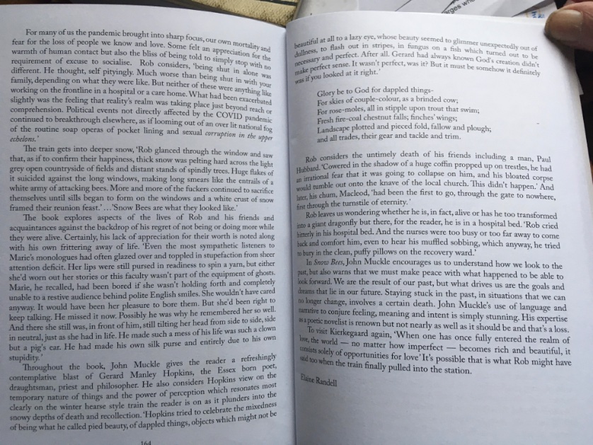 Great review of my novel Snow Bees by Elaine Randell, from Tears in the Fence, Spring 2024.