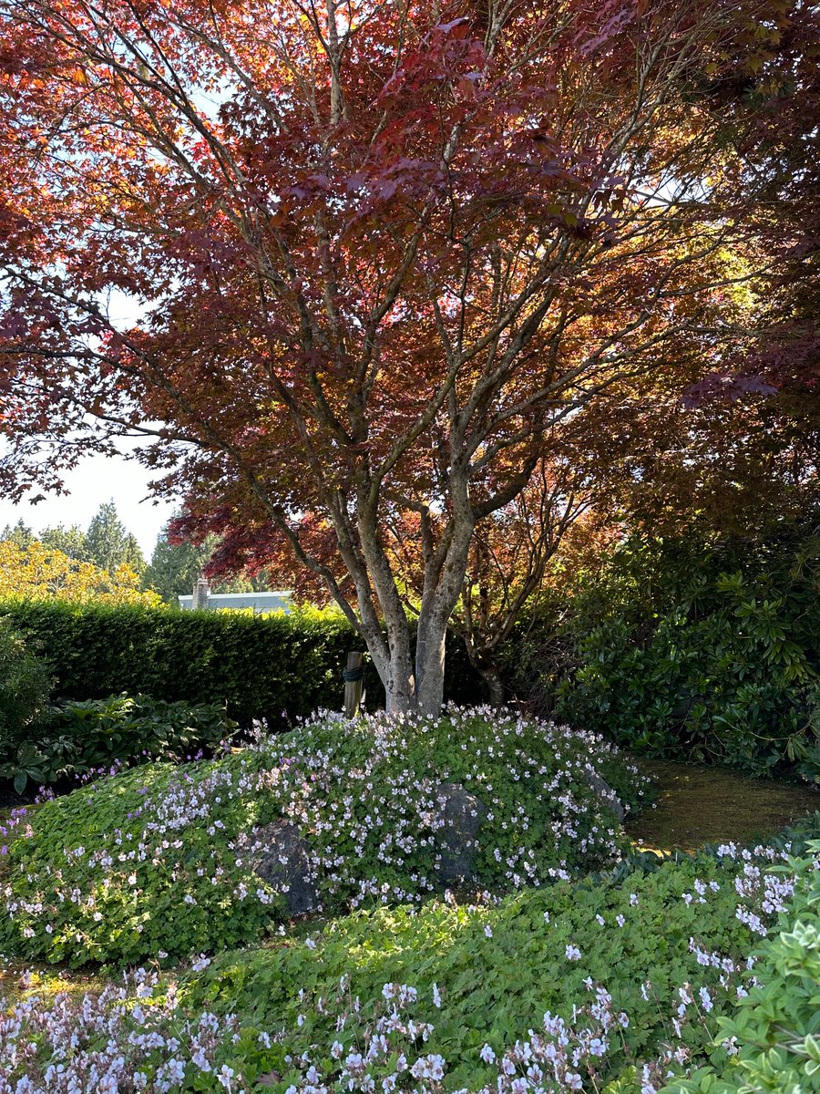 Kevin Ham tweet media