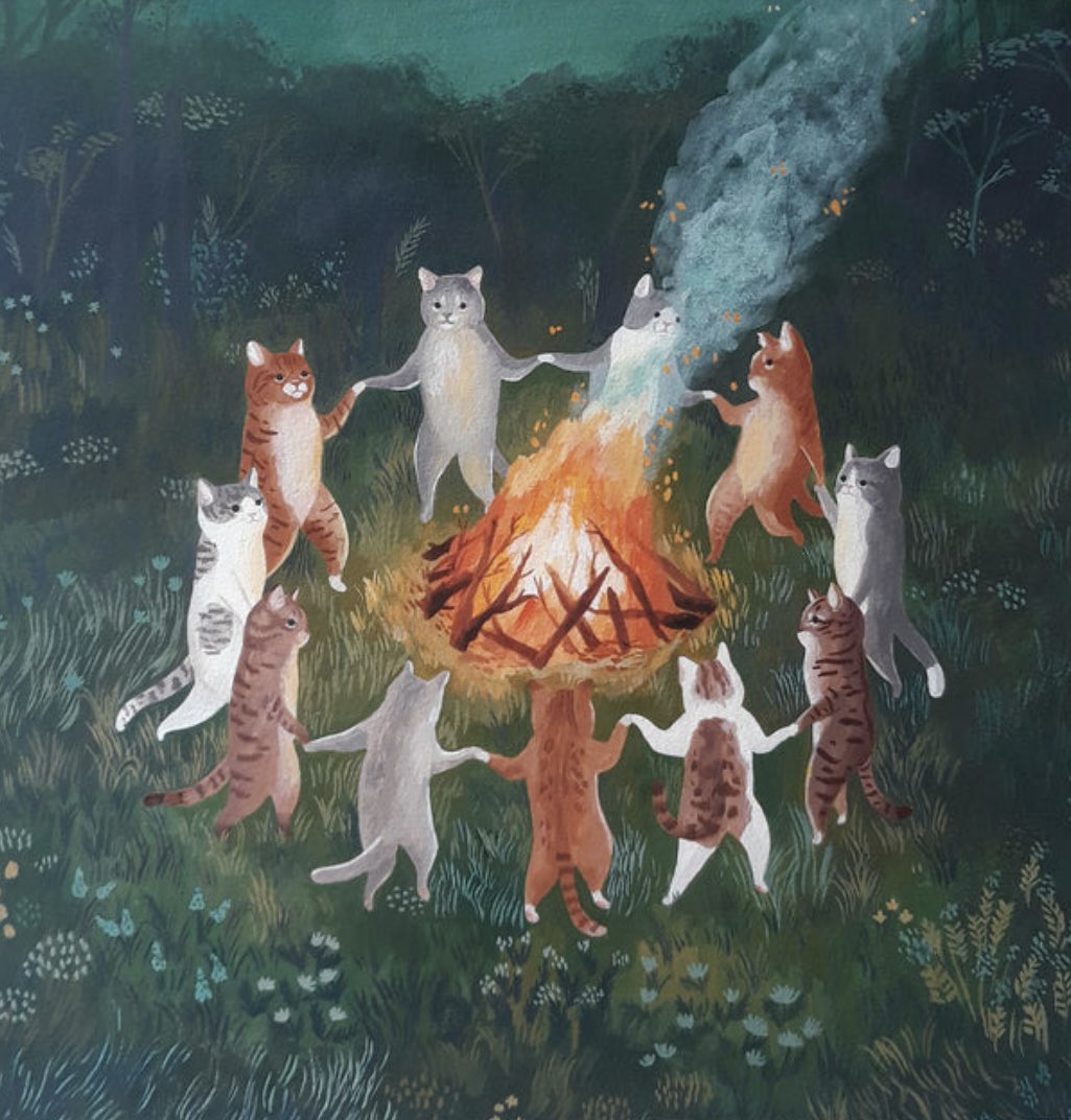 How cats celebrate the summer solstice