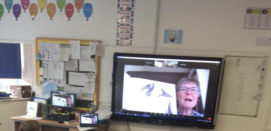 MissSykesBooks's tweet image. Our Y3s enjoyed a virtual author visit from @Fi_BGB this morning. They enjoyed listening to Fiona read her beautiful book 'A Swift Return', learned lots of facts about swifts in a quiz and then had a go at drawing their own birds! Thank you, we loved it! @ManselLearning 🩷📚😊