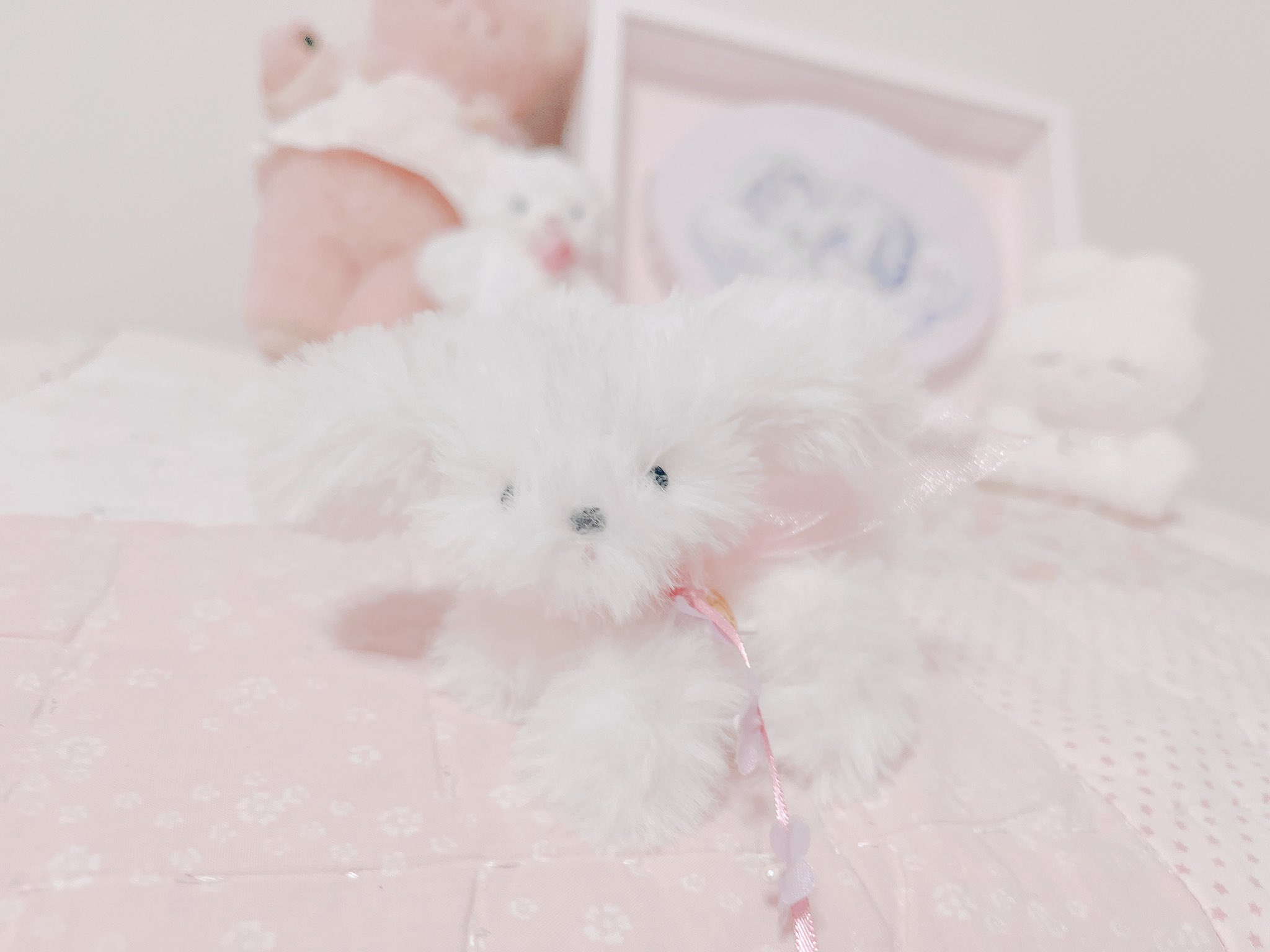 Happy 6th anniversary♡♡ @fluffybunnyclub さんの6周年記念で