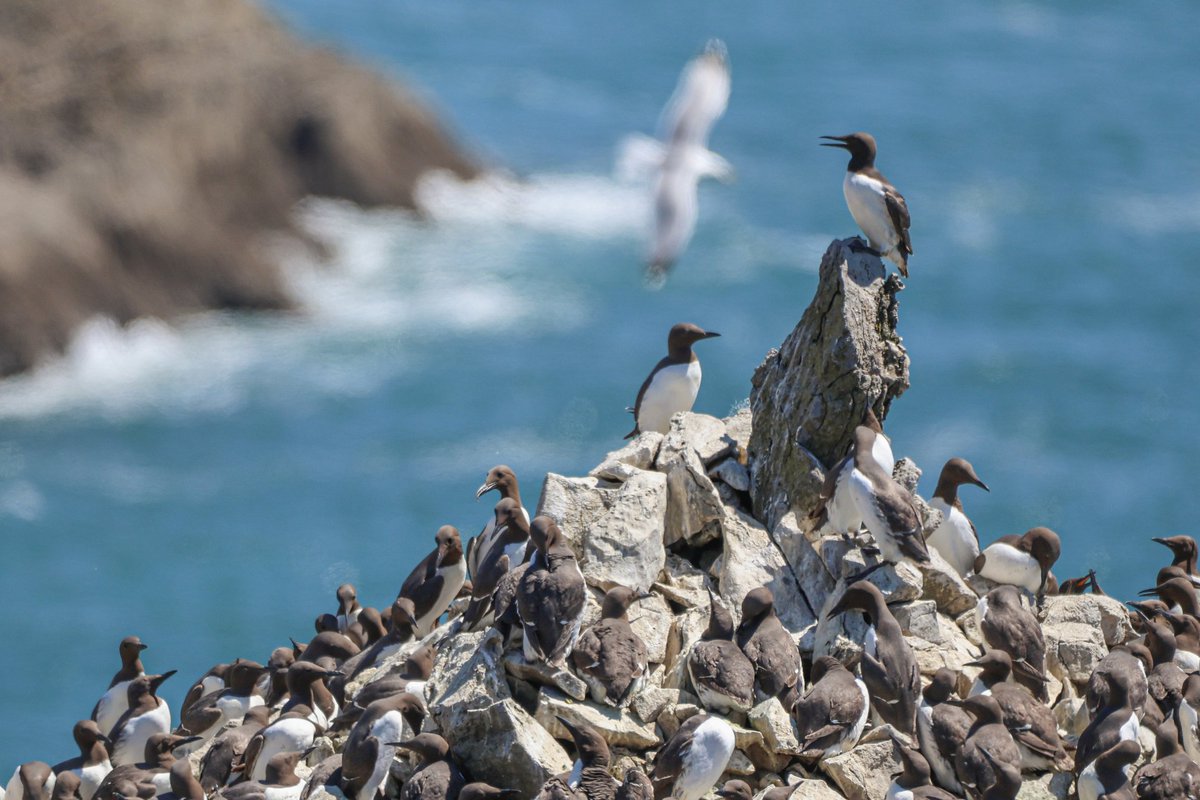 Matt Hughes tweet media