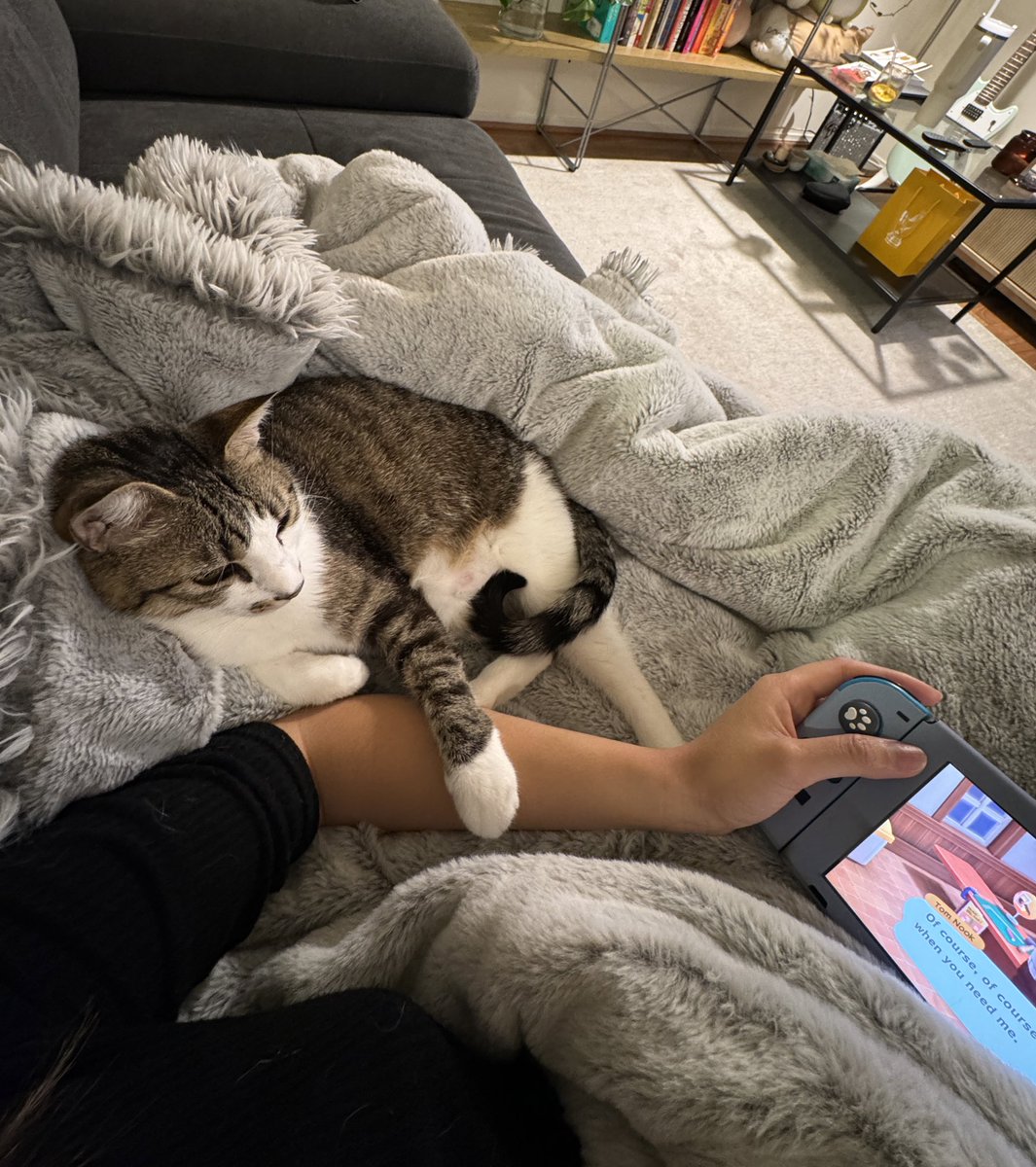 vvxnle's tweet photo. update: problems not solved but at least I have someone to watch me play animal crossing https://t.co/oRaL8JIxGD