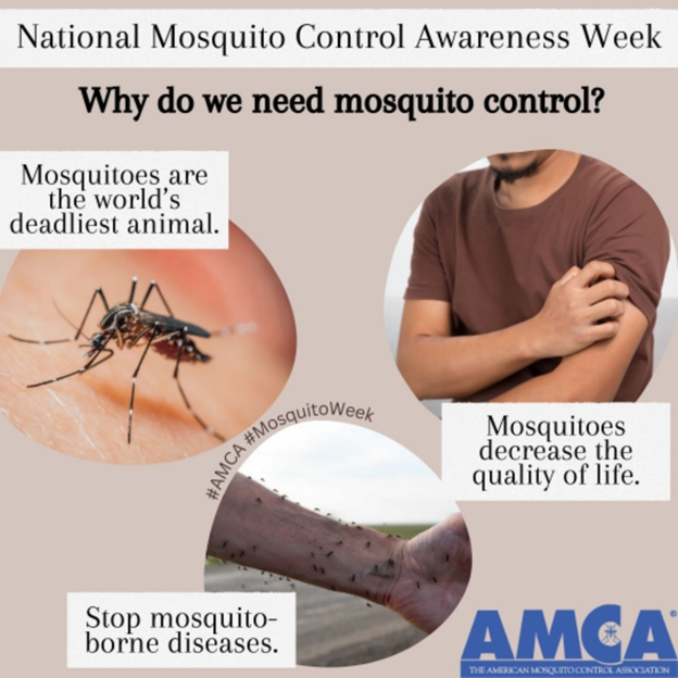 AMCAmosquito's tweet photo. Mosquitoes are responsible for over a million deaths each year due to the diseases they carry. Protect yourself and support those that are working to reduce mosquitoes and mosquito-borne diseases! #AMCA #publichealthforall #publichealth #mosquitoweek #mosquitocontrol https://t.co/t0ePkWIJFe