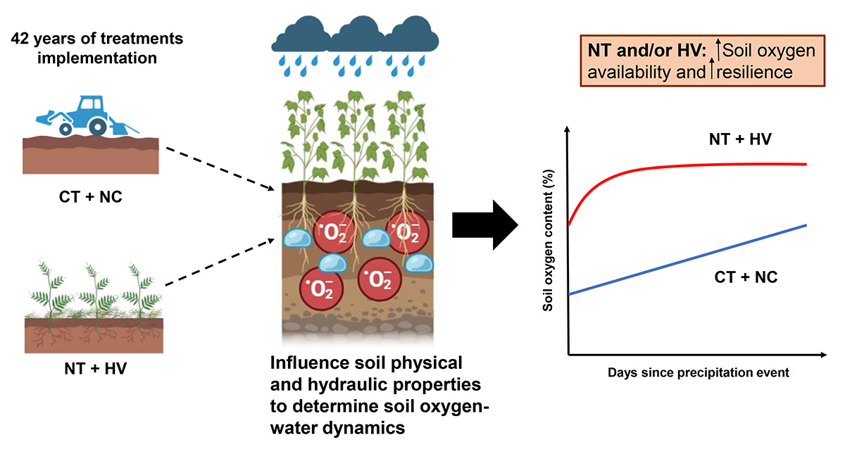 Article alert!📢

Forty-two years of no-tillage and cover cropping improved soil oxygen availability and resilience doi.org/10.1002/ael2.2…

Research letter by Lussich &amp; colleagues #OpenAccess <a href="/UT_Herbert/">Herbert College of Agriculture</a> <a href="/UTAgResearch/">UT AgResearch</a> <a href="/UTIAg/">UT Institute of Agriculture</a>