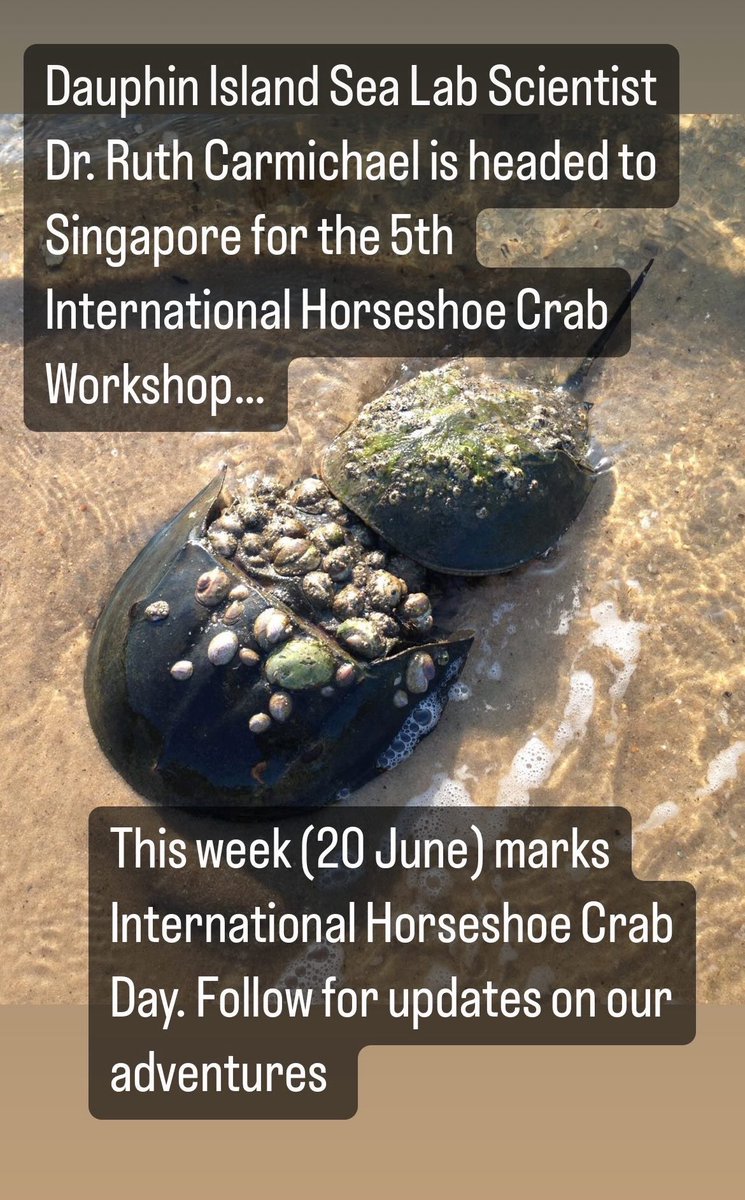 The Carmichael Lab - Dauphin Island Sea Lab tweet media
