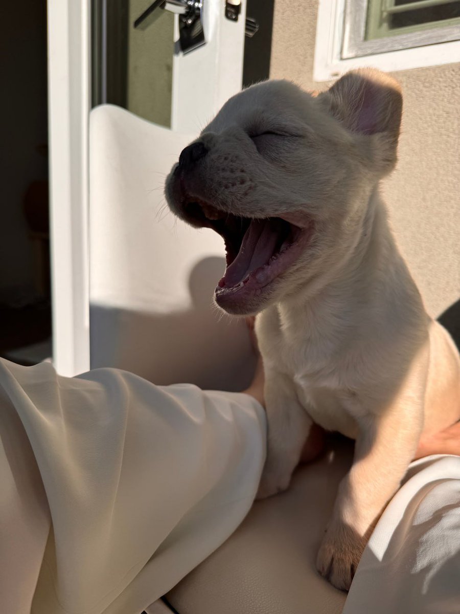 There are always lives that come to heal you, spend your days slowly with a happy heart