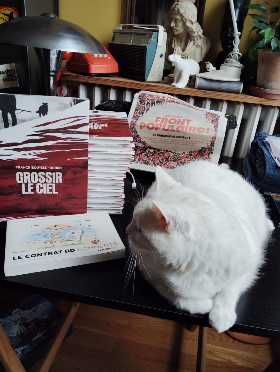 hippoetje's tweet photo. Juste une photo de chat...
#oupresque #Grossirleciel #nouveaufrontpopulaire https://t.co/b0AzavMTnK