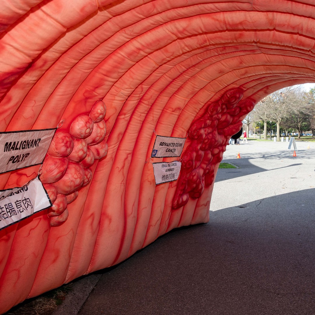 Colon Cancer Foundation tweet media