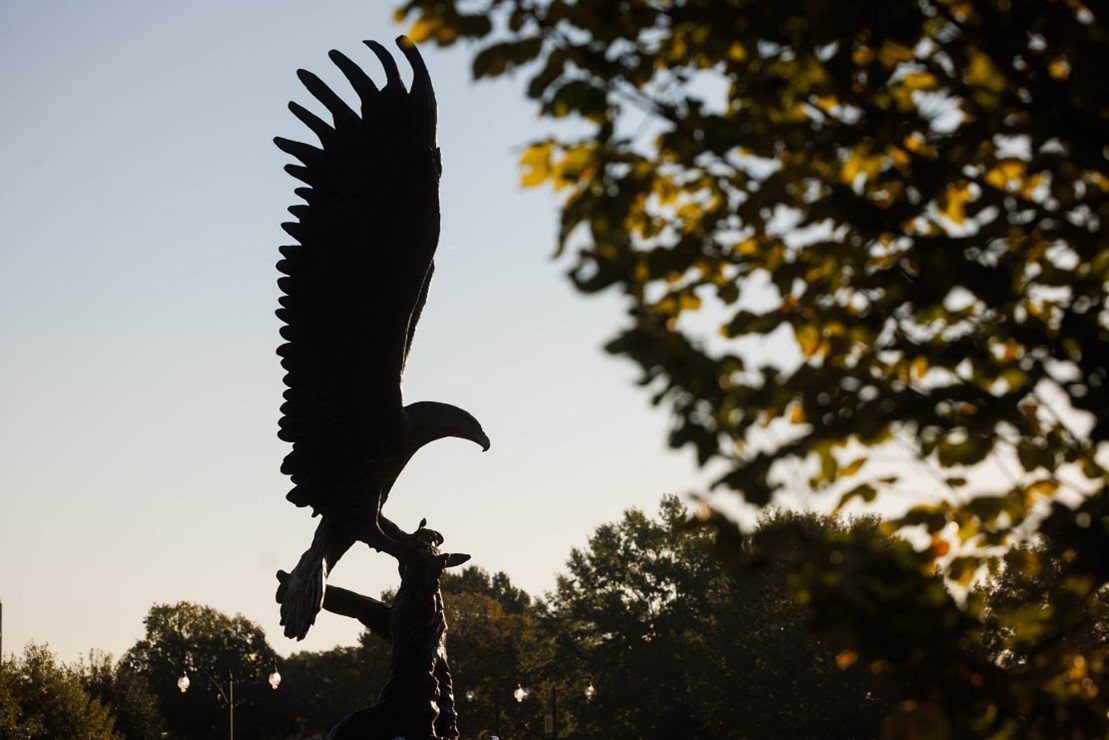 🦅 We don’t need a special occasion to celebrate being a Golden Eagle, but today is #NationalEagleDay, so we’re here for it – of course. #SMTTT #ChooseUSM