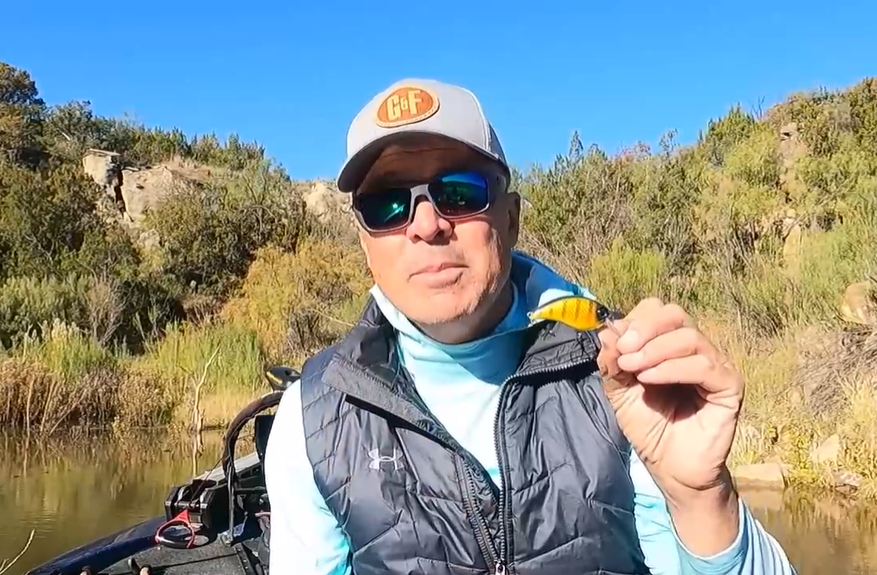 WFN's tweet photo. In this video Bass Crash Course, Host Shane Beilue covers three things to look for when considering square bills in shallow water via Game And Fish Magazine: https://t.co/OS0B4WrAQ8

#TheReelLife #fishing #fish #bass #bassfishing #crashcourse #basslure https://t.co/AjnuJVCwdr