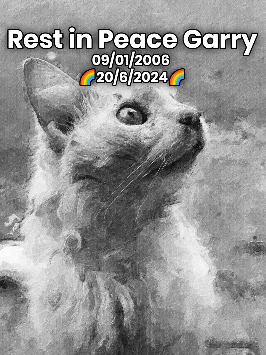 _PatrickJnr's tweet image. Rest in Peace, Garry.
My sweet prince ❤️
09/01/2006 - 06/20/2024 🌈