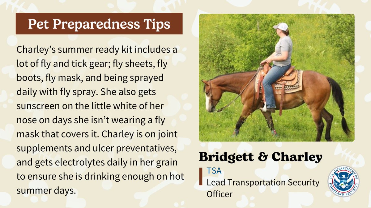 DHSgov's tweet image. The equestrian lifestyle can be very demanding, as Bridgett knows with her American Paint Horse Charley as they participate in searches, training opportunities, community events, and trail rides. #PetPreparedness is successful when planning for you and your pets' specific needs.