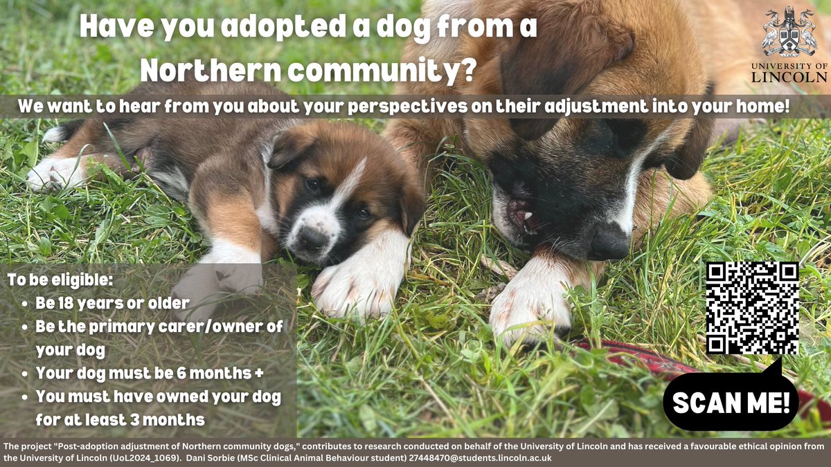 The Dog Rehoming Project tweet media