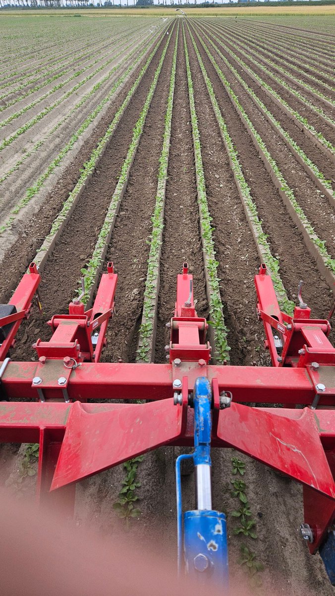 Nils van Tilbeurgh tweet media