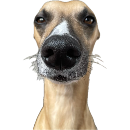 Probably going to service the PC and reroute some cables therefore full strip down. 

Might be a while before it works again