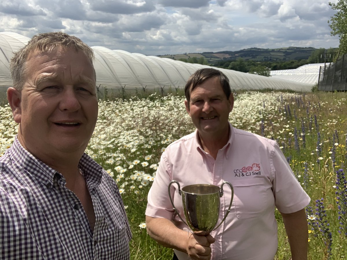 Catching up with <a href="/AntSnell/">Anthony Snell</a> in one of the <a href="/WindmillHFruits/">Windmill Hill Fruits</a> flower patches with the trophy he won in the local Harewood End Ag Society competition conservation category 🌻🐞🐝<a href="/LEAF_Education/">LEAF Education</a> <a href="/NFUtweets/">National Farmers' Union</a> <a href="/driscollsberry/">Driscoll's Berries</a> <a href="/Tesco/">Tesco</a> #Herefordshire