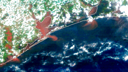 US_OCB's tweet photo. Learn more about #GeoXO and the future of hyperspectral #oceancolor at the @NOAASatellites Oceans and Water Satellite Symposium on July 29, 11-4 EDT https://t.co/aW9Oqn9Rby https://t.co/6c1nJ2pTr2