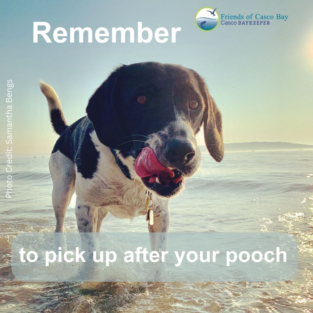 We know you got this!