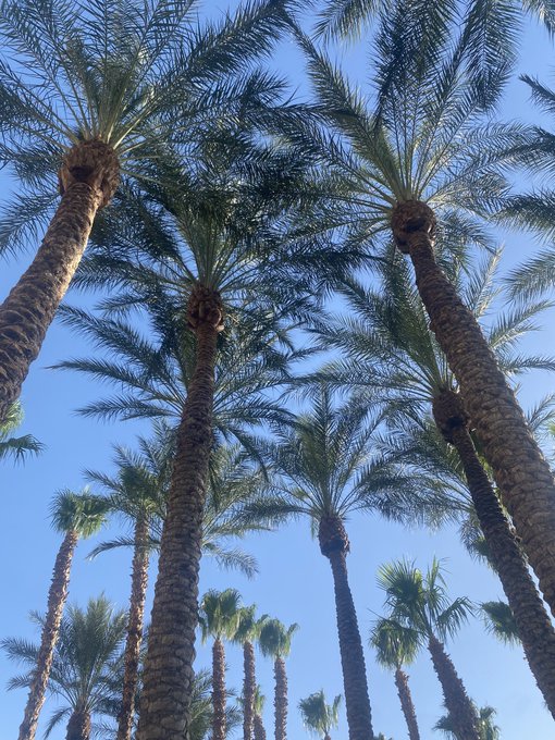 The day is beautiful and so are you 💋 https://t.co/gNGBeHjnEE<a href="/tag/hawaii"class="tags"><span>#hawaii</span></a><a href="/tag/oahu"class="tags"><span>#oahu</span></a><a href="/tag/hugetits"class="tags"><span>#hugetits</span></a><a href="/tag/jugs"class="tags"><span>#jugs</span></a>