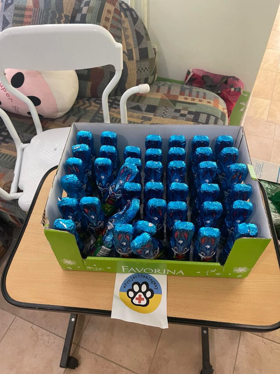 Poskytli jsme oblečení, hračky, hygienické potřeby i sladkosti pro dětský domov v Ternopilu. Doručila je <a href="/Nataliya1066140/">clovecina z s</a> která přidala zdravotní vybavení. Sháníme větší pleny, sáčky pro vývody, kojeneckou stravu a vlhčené ubrousky. Můžete-li pomoc, ozvěte se.

#ProjectHemingway